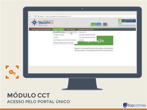 cct portal único.